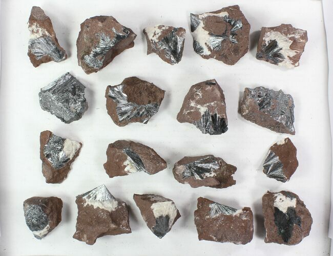 Lot: Metallic Pyrolusite Crystal Sprays - Pieces #78040